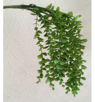 Зелень звисаюча, букет 7 гілочок Зелень звисаюча, букет 7 гілочок