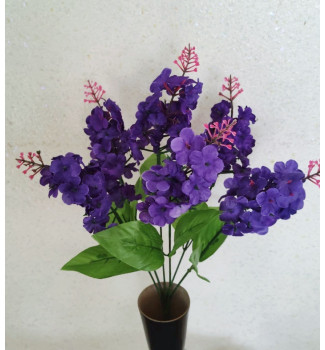 Бузок, букет 6 головок