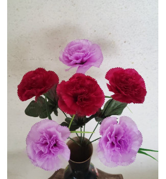 Гвоздика двоколірна, букет 6 головок