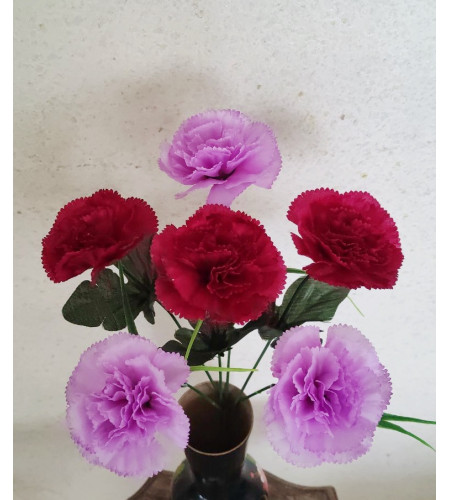 Гвоздика двоколірна, букет 6 головок