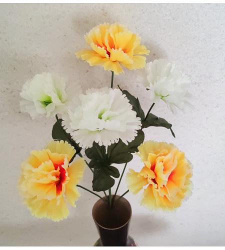 Гвоздика двоколірна, букет 6 головок