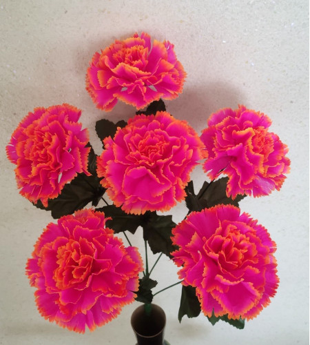 Гвоздика пухнаста, букет 6 головок