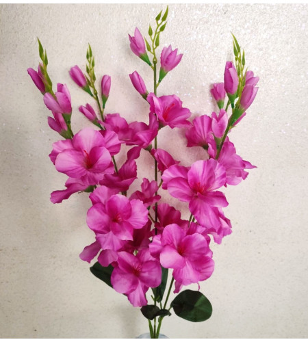 Гладіолуси, букет 5 гілочок