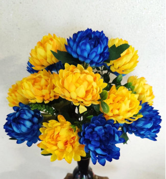 Жоржини жовто-блакитні, букет 16 головок Жоржини жовто-блакитні, букет 16 головок