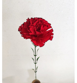 Оксамитова гвоздика Оксамитова гвоздика