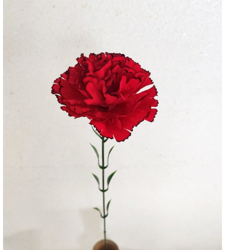 Оксамитова гвоздика