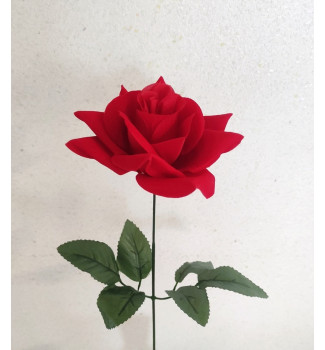 Оксамитова троянда Оксамитова троянда