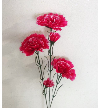 Гілка гвоздики, букет 5 головок Гілка гвоздики, букет 5 головок