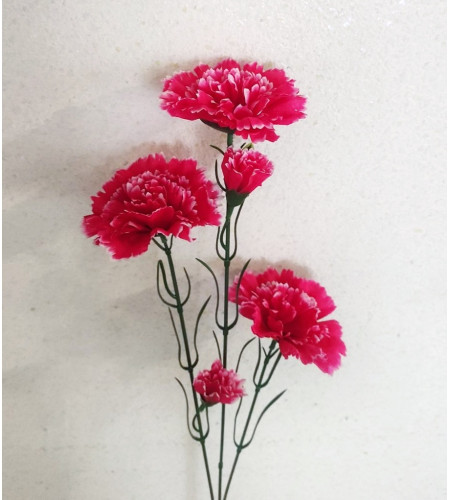 Гілка гвоздики, букет 5 головок
