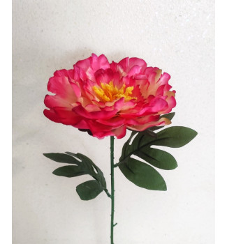 Півонія, гілка Півонія, гілка