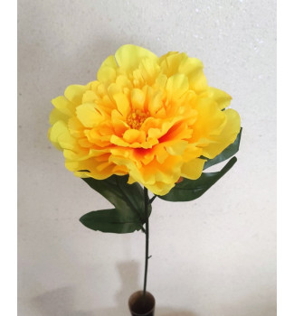 Гілка півонії Гілка півонії