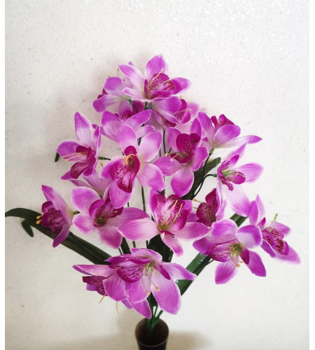 Орхідея, букет 21 головка