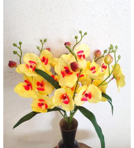Кущик орхідеї з бутонами, букет 21 головка