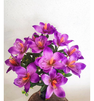 Орхідея Калатея, букет 11 головок Орхідея Калатея, букет 11 головок