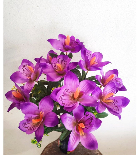 Орхідея Калатея, букет 11 головок