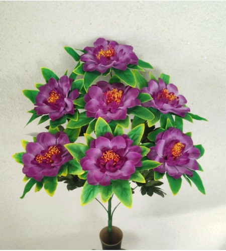 Камелія в розетці, букет 7 головок