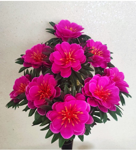 Далія в розетці, букет 9 головок
