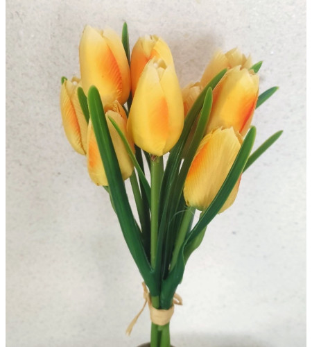 Тюльпани весняні, букет 10 головок