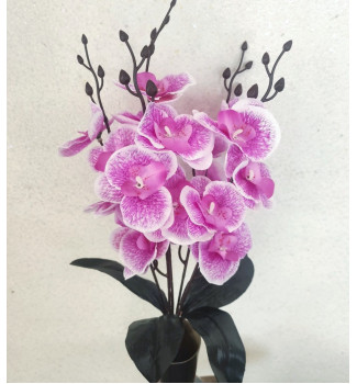 Орхідеї з бутонами, букет 5 гілочок