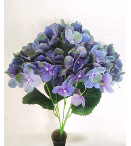 Гортензія латексна, букет 5 гілочок