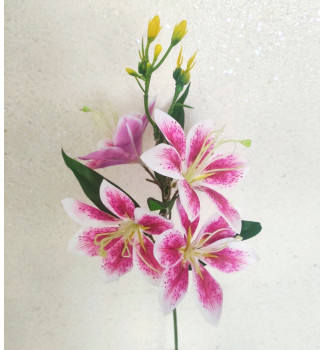 Гілочка клематиса, 4 головки Гілочка клематиса, 4 головки