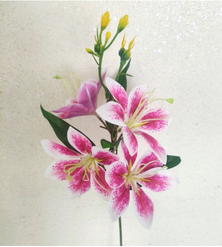 Гілочка клематиса, 4 головки