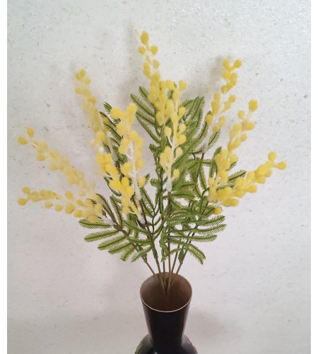 Мімоза, букет 7 гілочок