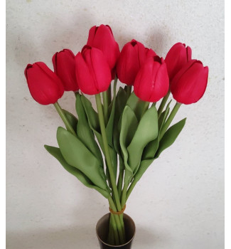 Тюльпан латексний Тюльпан латексний