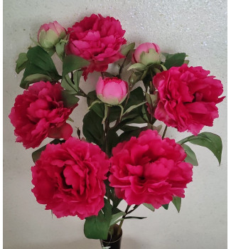 Кущ півоній натуральний, букет 5 головок та 3 бутони