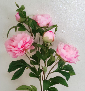 Гілка півонії, 5 головок