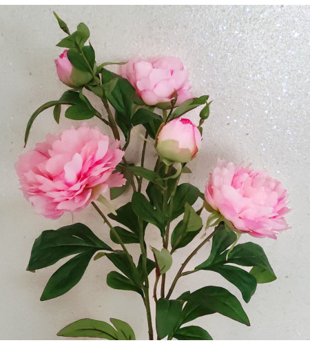 Гілка півонії, 5 головок