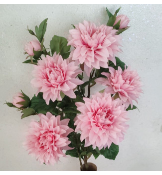 Кущ жоржини, букет 8 головок