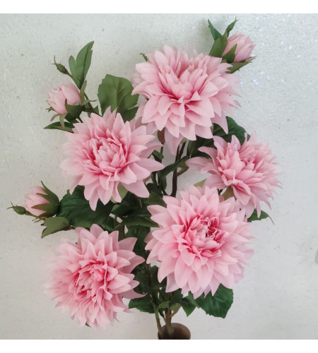 Кущ жоржини, букет 8 головок