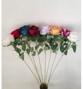 Оксамитова троянда Оксамитова троянда