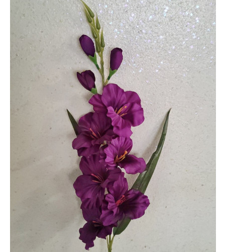 Гілка гладиолуса, 6 головок та 3 бутони