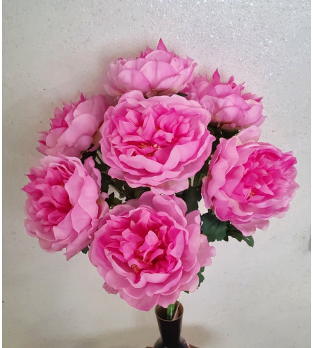 Півонія велика, букет 7 головок