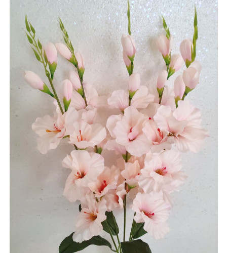 Гладіолуси, букет 5 гілочок