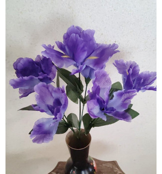 Іриски, букет 6 головок Іриски, букет 6 головок