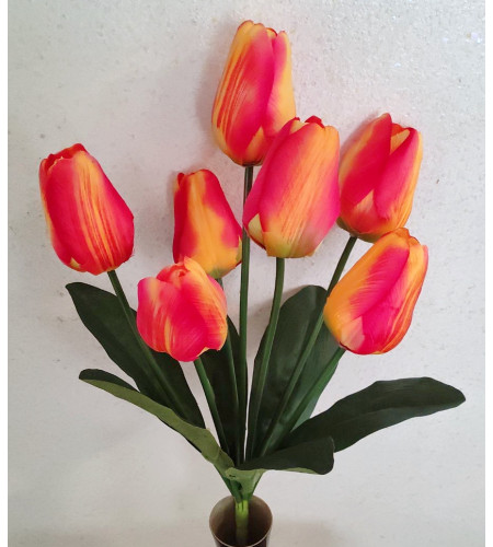Тюльпан-гігант, букет 7 головок