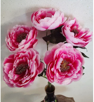 Півонія з пухнастою серединкою, букет 5 головок