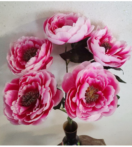 Півонія з пухнастою серединкою, букет 5 головок