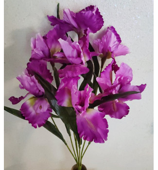 Іриси, букет 7 головок Іриси, букет 7 головок