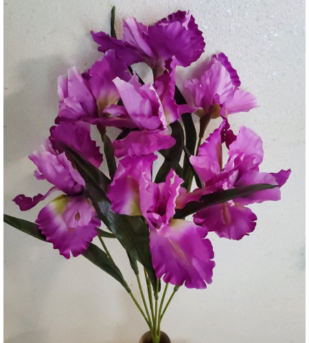 Іриси, букет 7 головок