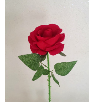 Оксамитова троянда