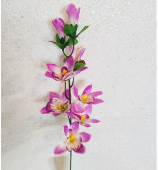 Гілочка орхідеї, 7 головок Гілочка орхідеї, 7 головок