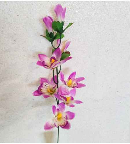 Гілочка орхідеї, 7 головок