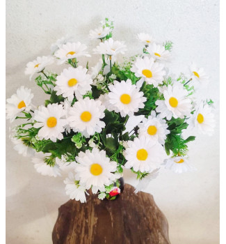 Ромашки польові, букет 34 головки
