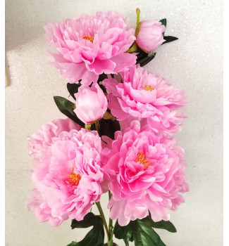 Кущ пивонії, гілка 8 головок Кущ пивонії, гілка 8 головок