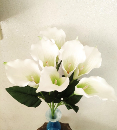 Кала латексна біла, букет 7 головок