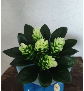 Шишка бордюрна, букет 5 головок